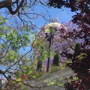 Meet your Posher, Dona